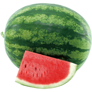 ALL_catalog_24G23_7AJThtFFms