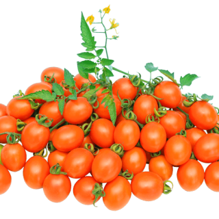 ALL_catalog_24G23_7ryqMqSSyB