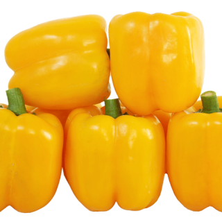 ALL_catalog_24G23_9JIK0oRh1l