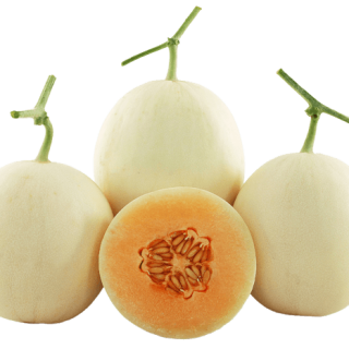 ALL_catalog_24G23_Eu4C3a60uz