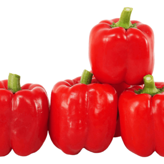 ALL_catalog_24G23_FpZfhm0fEW