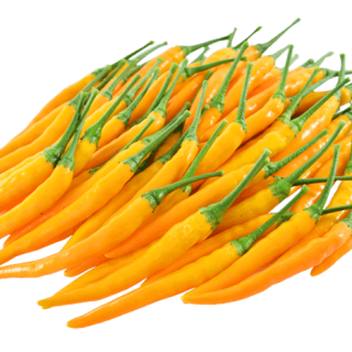 ALL_catalog_24G23_G7bx2neSJq