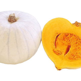 ALL_catalog_24G23_G90ZAiYGQP