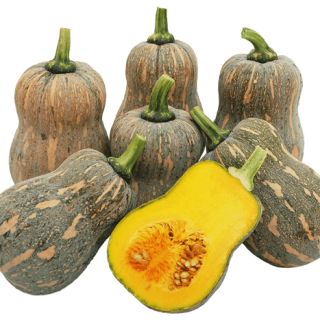 ALL_catalog_24G23_JDILaleX5Q