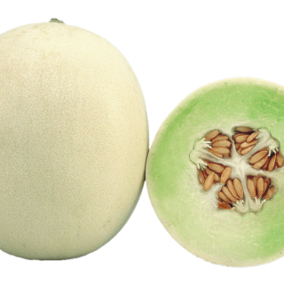 ALL_catalog_24G23_MOIiBUr65z