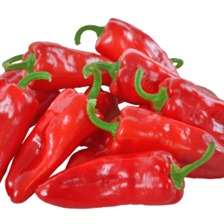 ALL_catalog_24G23_MPHEXoXPEx