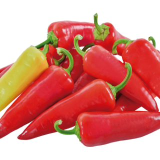 ALL_catalog_24G23_Q91SzsREOw