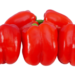 ALL_catalog_24G23_QuHkQaNM4K