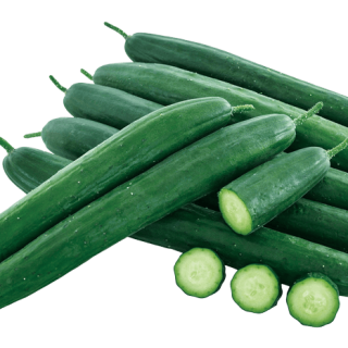 ALL_catalog_24G23_RFU232bcIS