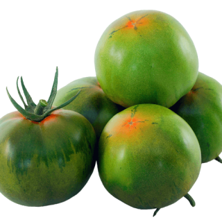 ALL_catalog_24G23_SQ2ZuXR1oA