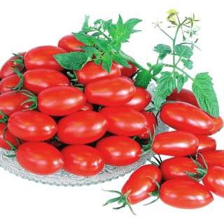 ALL_catalog_24G23_SjoFZ0seE9