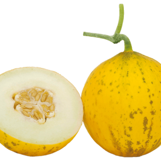 ALL_catalog_24G23_TjmBdroxer