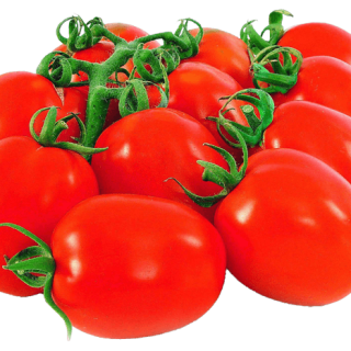 ALL_catalog_24G23_TnCMQT9PQl