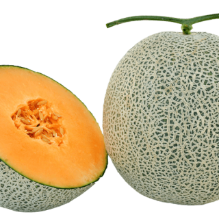 ALL_catalog_24G23_UdLbdr731o