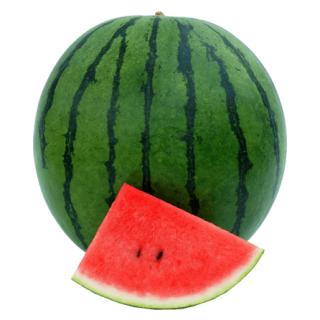 ALL_catalog_24G23_VFsEBA3xxa