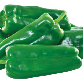 ALL_catalog_24G23_WXg7ZoyX6j