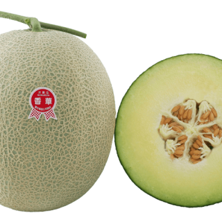 ALL_catalog_24G23_X9zAb63doJ