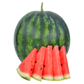 ALL_catalog_24G23_YqB0WUnd9A