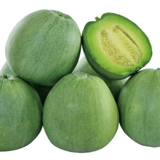 ALL_catalog_24G23_YvV5pYBS5N