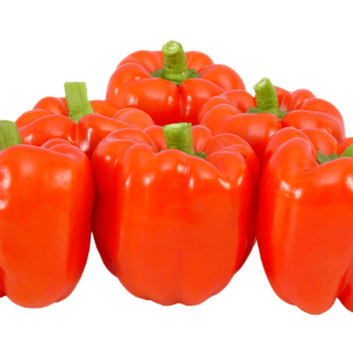 ALL_catalog_24G23_Z96iut0B93