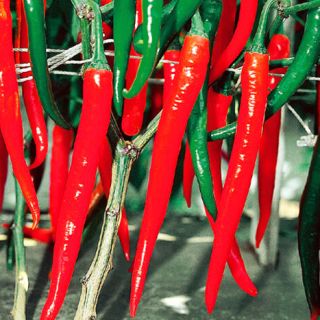 ALL_catalog_24G23_ZXcte6yFAm