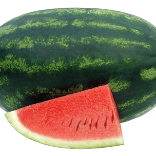 ALL_catalog_24G23_aHvjGPZQTV