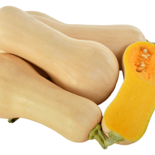 ALL_catalog_24G23_aNCiZItEzt