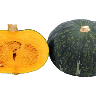 ALL_catalog_24G23_biUEGDQGDN