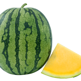 ALL_catalog_24G23_c2WszscFZ0