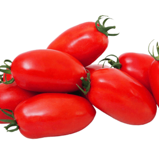 ALL_catalog_24G23_cksy2qJAw9