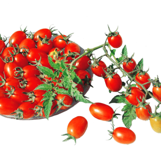 ALL_catalog_24G23_dMVqgk9kSP