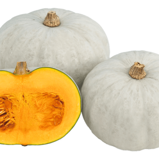 ALL_catalog_24G23_dOCMw6q14c