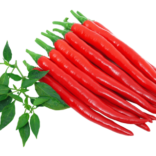 ALL_catalog_24G23_doi8z9hwE1