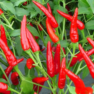 ALL_catalog_24G23_eIPw2q7vOh