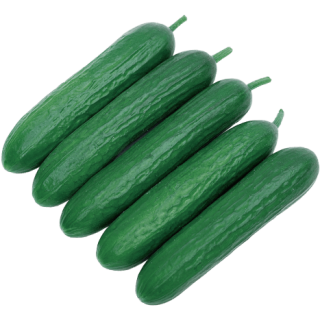 ALL_catalog_24G23_egWh7fUDZ8