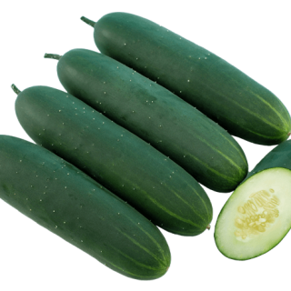 ALL_catalog_24G23_esB27Ospjn