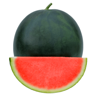 ALL_catalog_24G23_gFot5xaVdZ