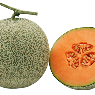 ALL_catalog_24G23_hHGMLpkYp4