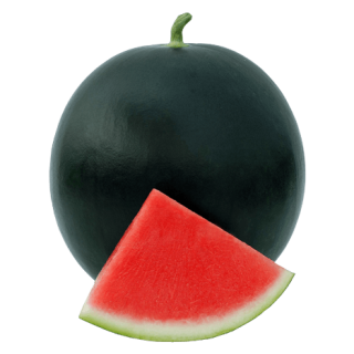 ALL_catalog_24G23_hRmBFmOSQJ