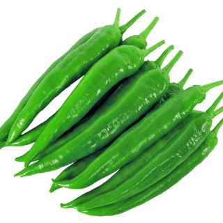 ALL_catalog_24G23_hvKhsHbVvh