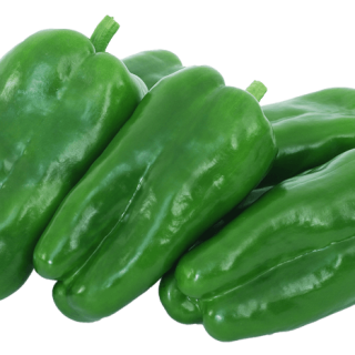 ALL_catalog_24G23_iyoojE6Obi