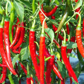 ALL_catalog_24G23_k9Tm6x7sBB