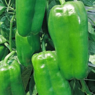 ALL_catalog_24G23_lOfjj0a1yB