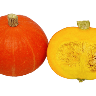 ALL_catalog_24G23_lRnfgdese9