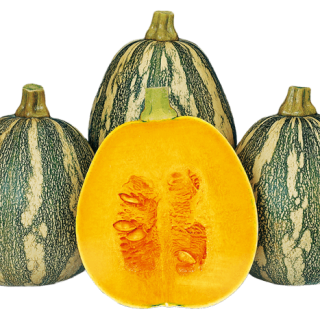 ALL_catalog_24G23_oiQLrCEboo