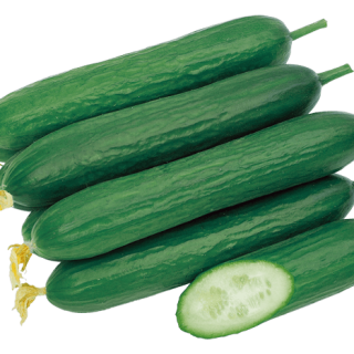 ALL_catalog_24G23_pp6qQrqY1E