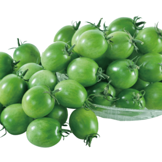 ALL_catalog_24G23_rtlDWgbvwC