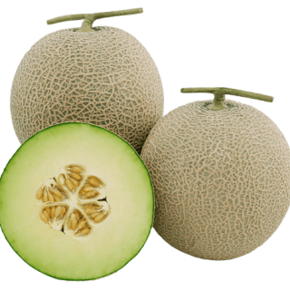 ALL_catalog_24G23_rw8xuEKzue