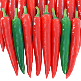 ALL_catalog_24G23_sAUqr2wLdy