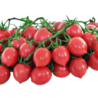 ALL_catalog_24G23_seHkbYtaVb